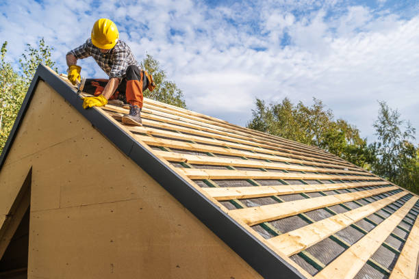 Best Roof Maintenance Services  in Idaho Springs, CO