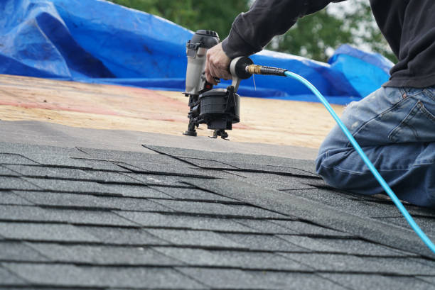 Roof Gutter Cleaning in Idaho Springs, CO